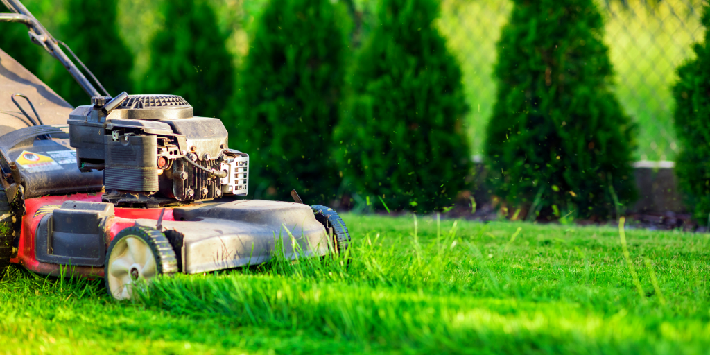 The Green, Green Grass of Home